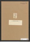 Cymbella rostrata Rabenh. (de-Toni-Nr.: Genus 33, Species 1429) Zeichnungen Sammlung Grunow Nr. 2706 (NHMW-BOT-W0369968)